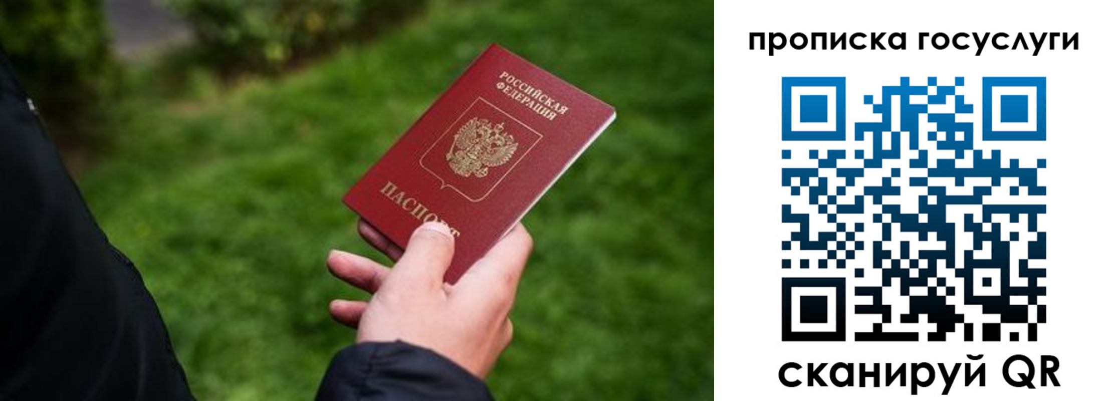 прописка для работы в Похвистнево